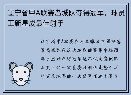 辽宁省甲A联赛岛城队夺得冠军，球员王新星成最佳射手